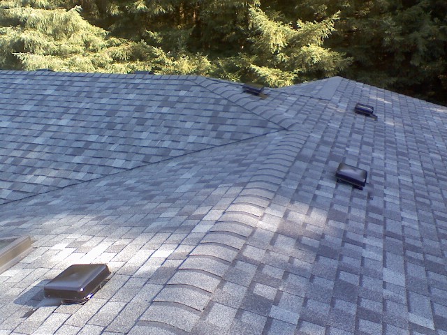 roof3.jpg