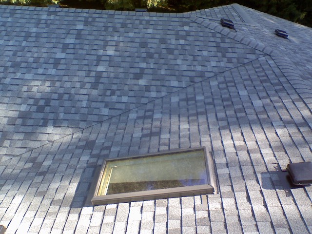 roof4.jpg